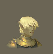 Sunmalehead1