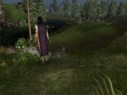 Silversun6