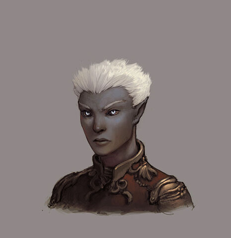 File:Drowfemhead3.jpg