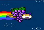 Nyan fox