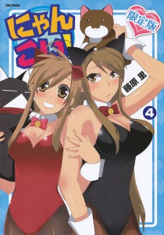 File:Nyan Koi! v04 front.jpg