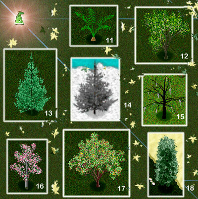 Treesofoberin2