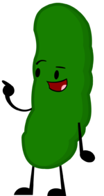 Pickle Redesign