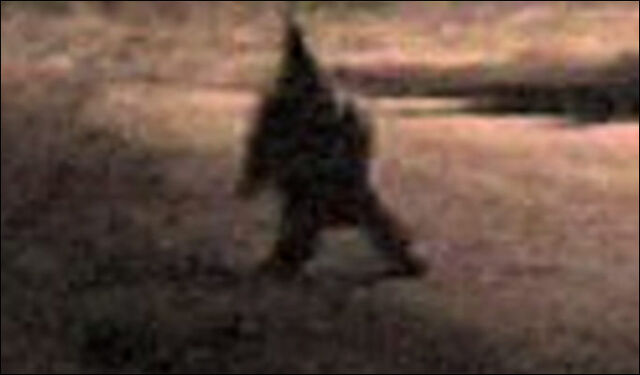 File:Gnome.jpg