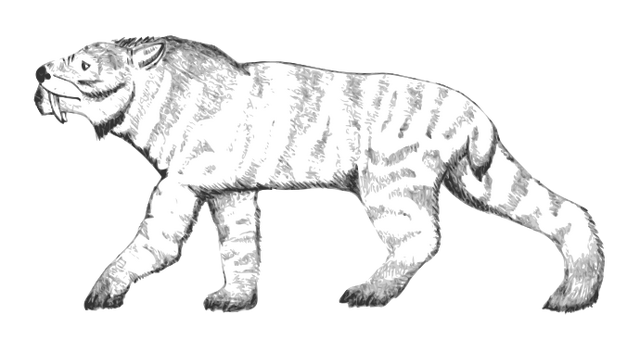 File:Tiger.png
