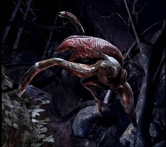 File:Runner.jpg