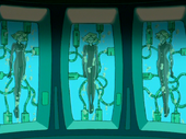 8-19.png