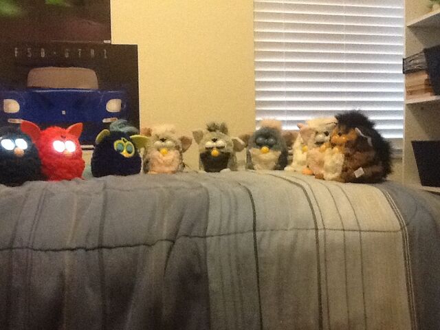 File:Furby collection.jpg