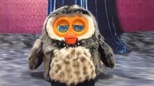 Smart owl