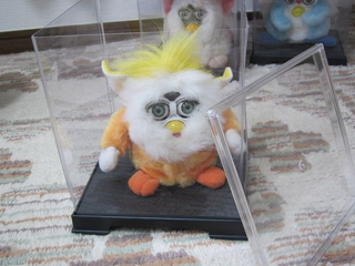 Lionheadpurby case
