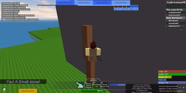 File:RobloxScreenShot01052013 131140690.jpg