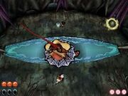 Anura battle