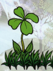 Clover pic
