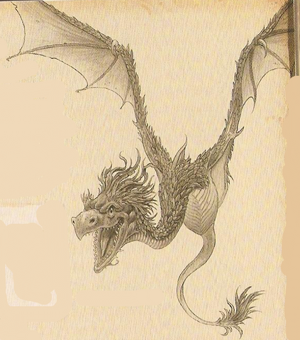 File:Am. Amphithere Dragon.png