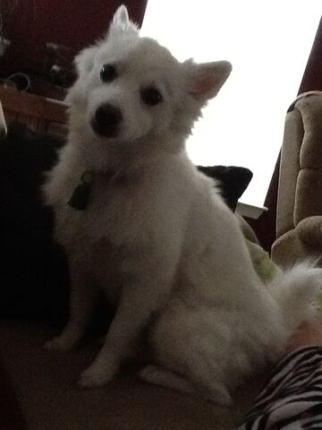 File:IPad photos 158.jpg