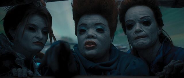File:Gray ladies.jpeg