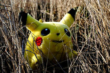 WILD PIKACHU APPEARS!