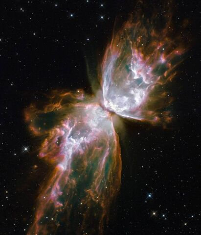 File:SpaceButterflyIcon2.jpg