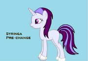 Syringa2