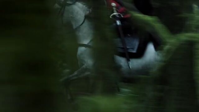 Ficheiro:Floresta-Cavalo.jpg