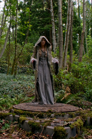 Fichier:5x01 Infobox.png