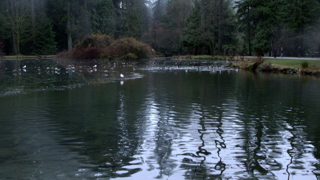 Fichier:3x14 lac Storybrooke Heritage Park.png