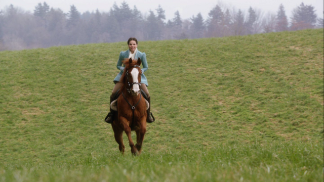 Bestand:Rocinante.png