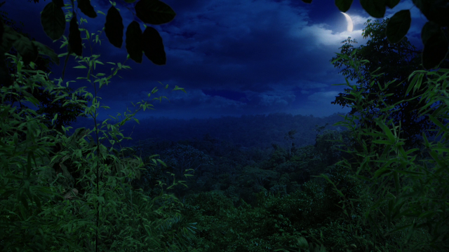 File:303Neverland.png