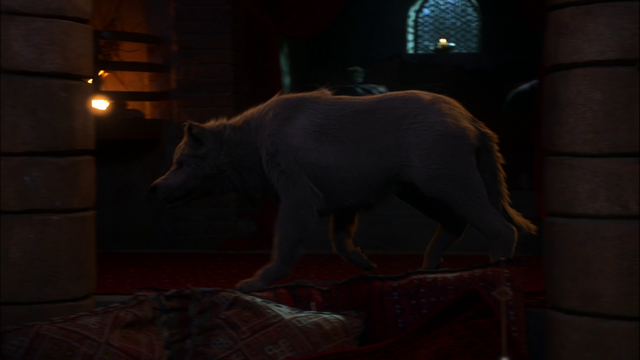 File:207AnitaWolfApproachesSnow.png