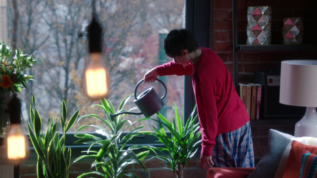 File:311WateringThePlants.png