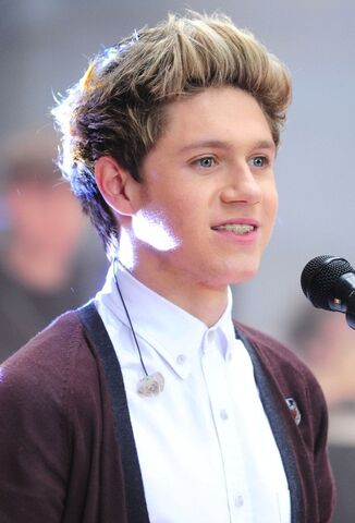 File:Niall-Horan-One-Direction-2013-Hairstyles-Trends.jpg