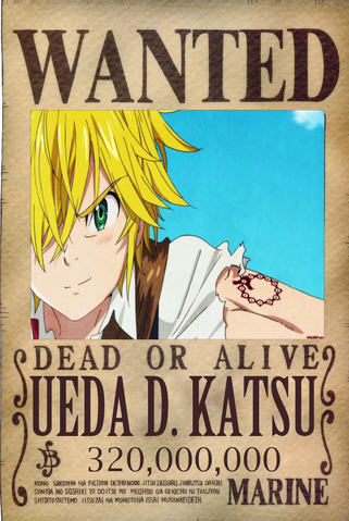 File:KatsuWantedPoster.png