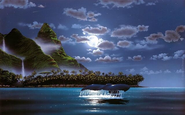 File:Ws Island Palms Ocean Night Whale 1920x1200 (1).jpg