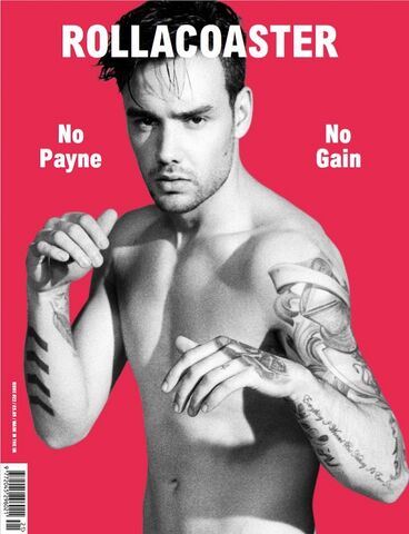 File:Liam-payne-rollercoaster-1-1489849925.jpg