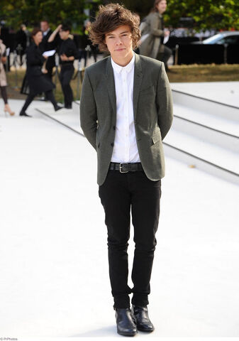 File:Harry-styles-2013-2.jpg
