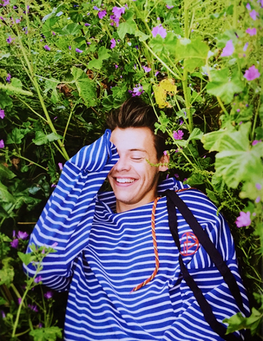 File:Tumblr oe7m99Rcli1rsvhsyo1 500.png