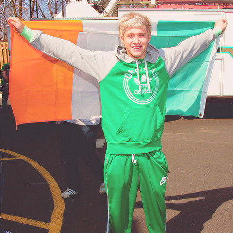 File:Niall - Irish Flag.png