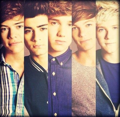 File:Harry-styles-liam-payne-louis-tomlinson-naill-horan-one-direction-Favim.com-308007.jpg