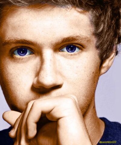 File:Niall-Horan-photoshoot-2012-one-direction-32280345-2000-2400.jpg