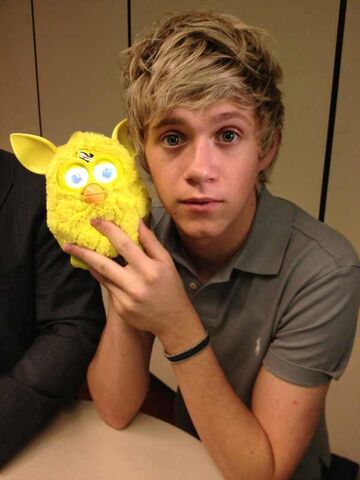 Datei:Niall-horan-twitpic-167873.jpg