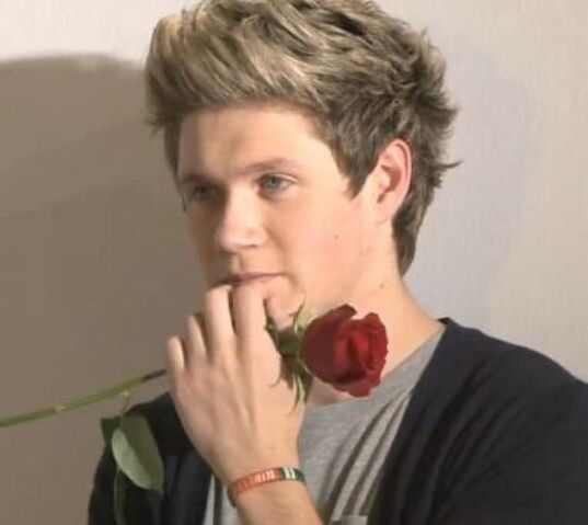 File:Niall-horan-est-il-un-don-juan.jpg