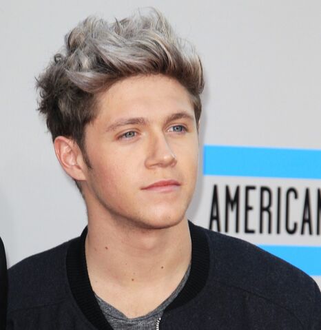 File:Niall-horan-2013-american-music-awards-01.jpg