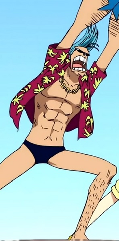 File:Franky's Most Common Outfit.png