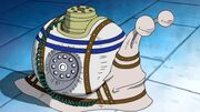 Teleschnecke.jpg