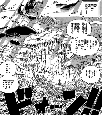 File:Sea Forest.png