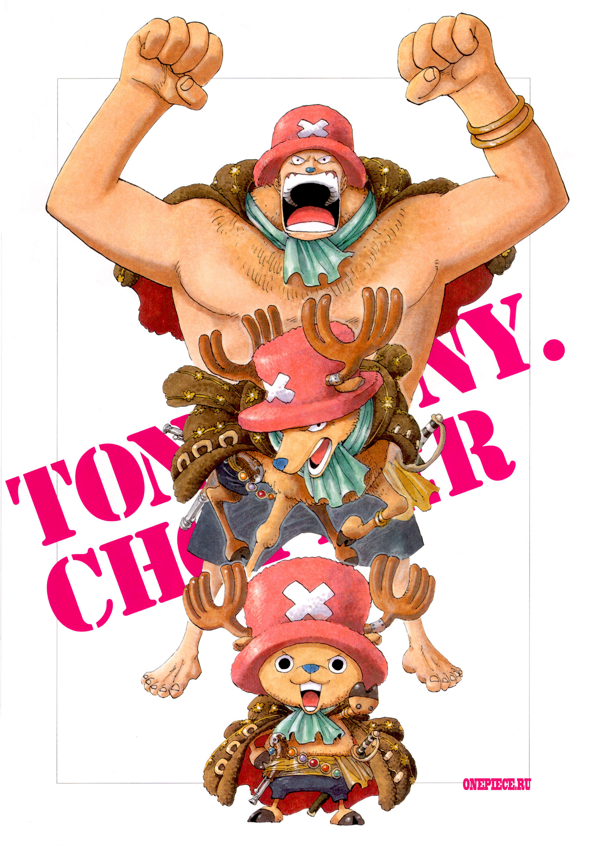 Tony Tony Chopper/Gallery				Fan Feed