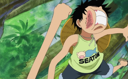 Gom Gom inesperto.png