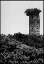 SBS80 3 Chinese Tower