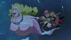 Kokoro sirena.jpg