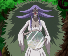 Fruta mira mira.png